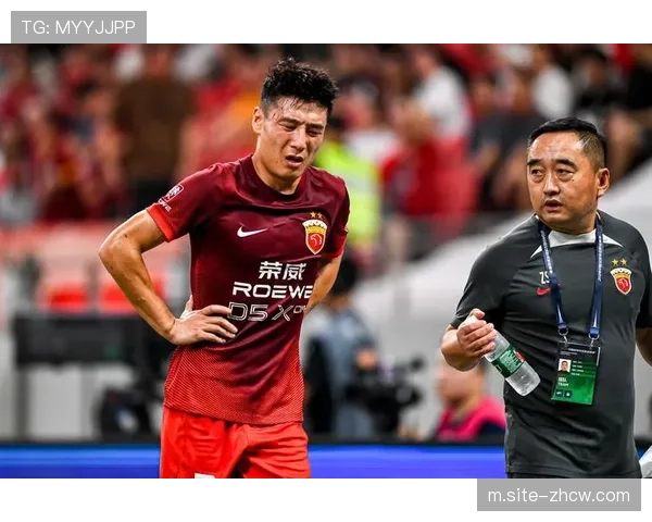 海港申花蓉城合计仅两胜 中超在亚冠精英赛的攻防下限